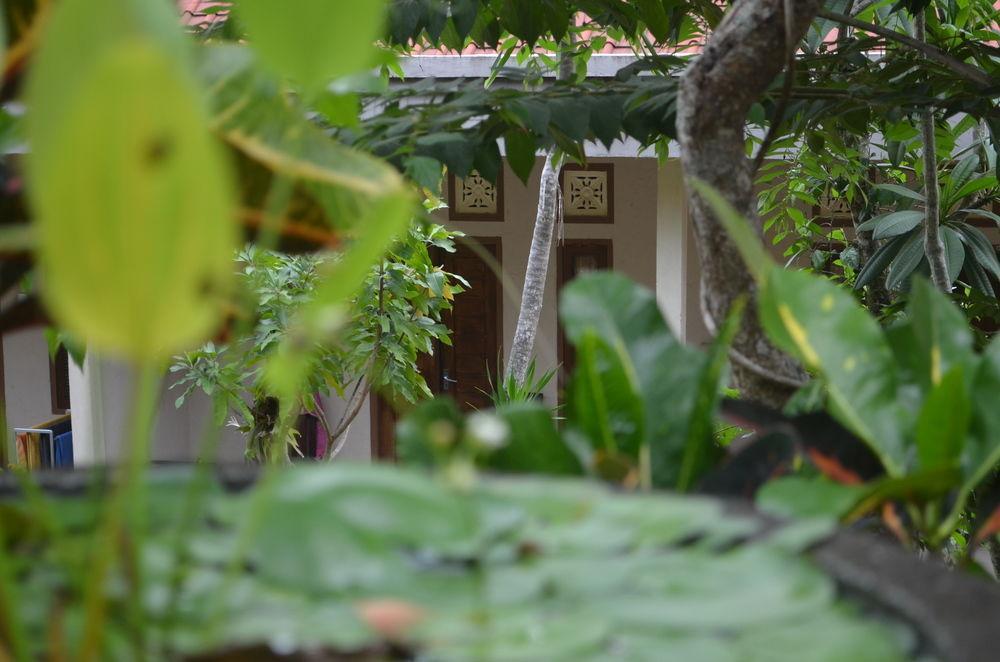Belong Bunter Guest house Uluwatu (Bali)