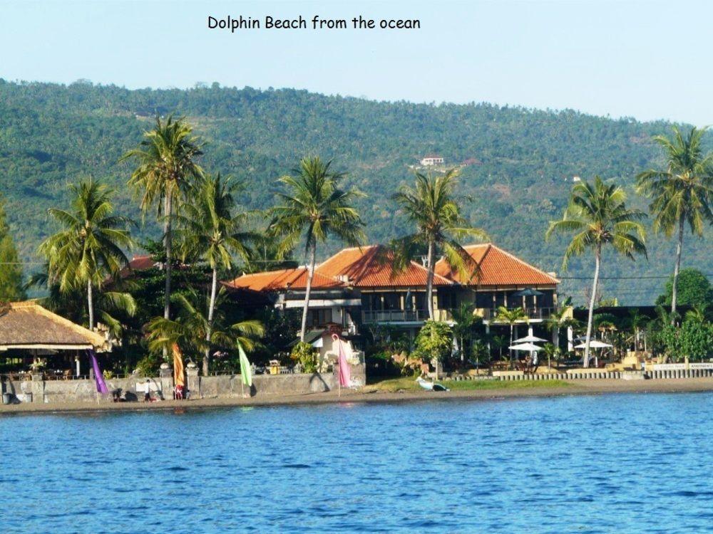 Dolphin Bali 3* Lovina (Bali)