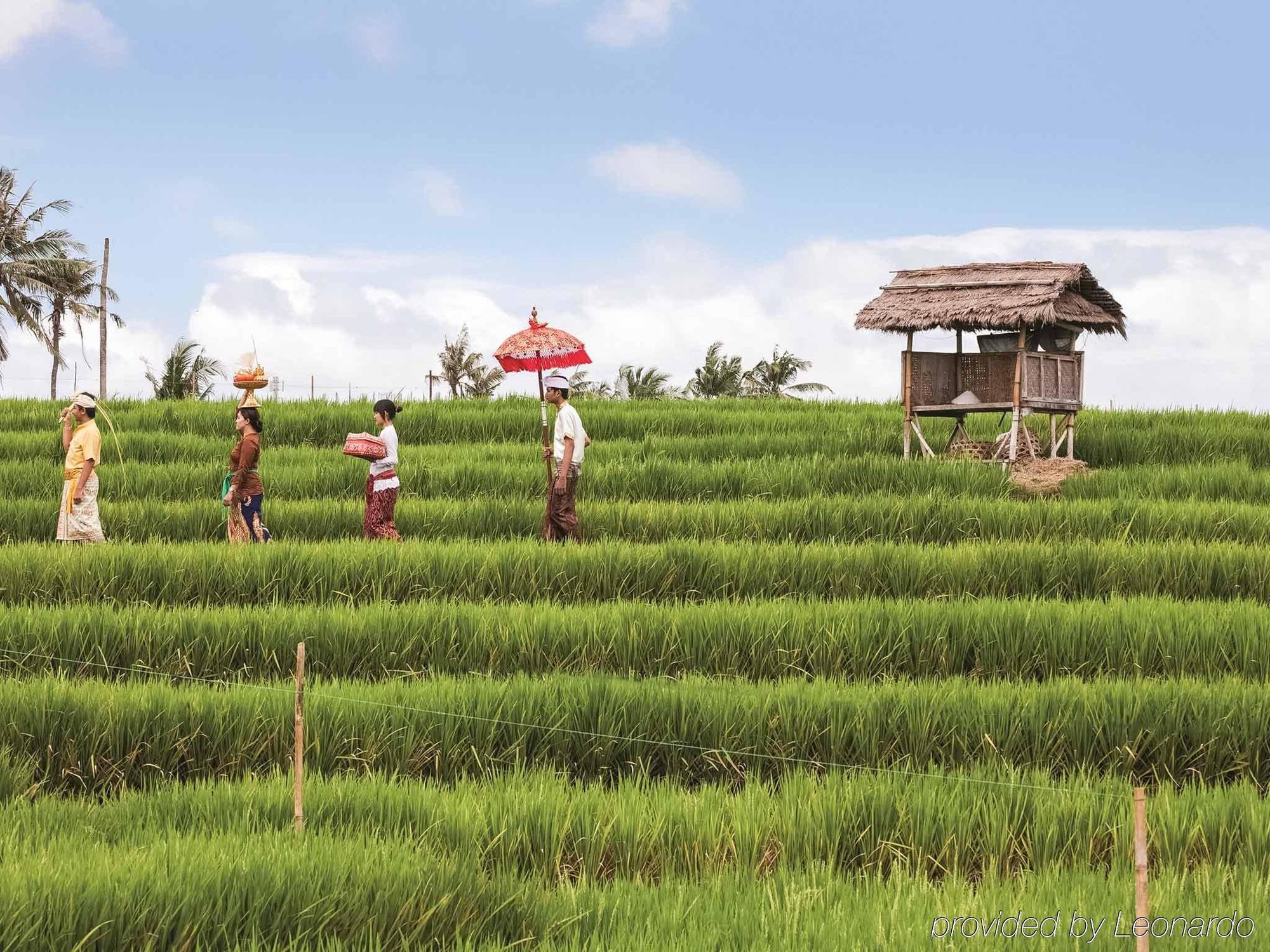 Ibis Styles Bali Hotel 3*