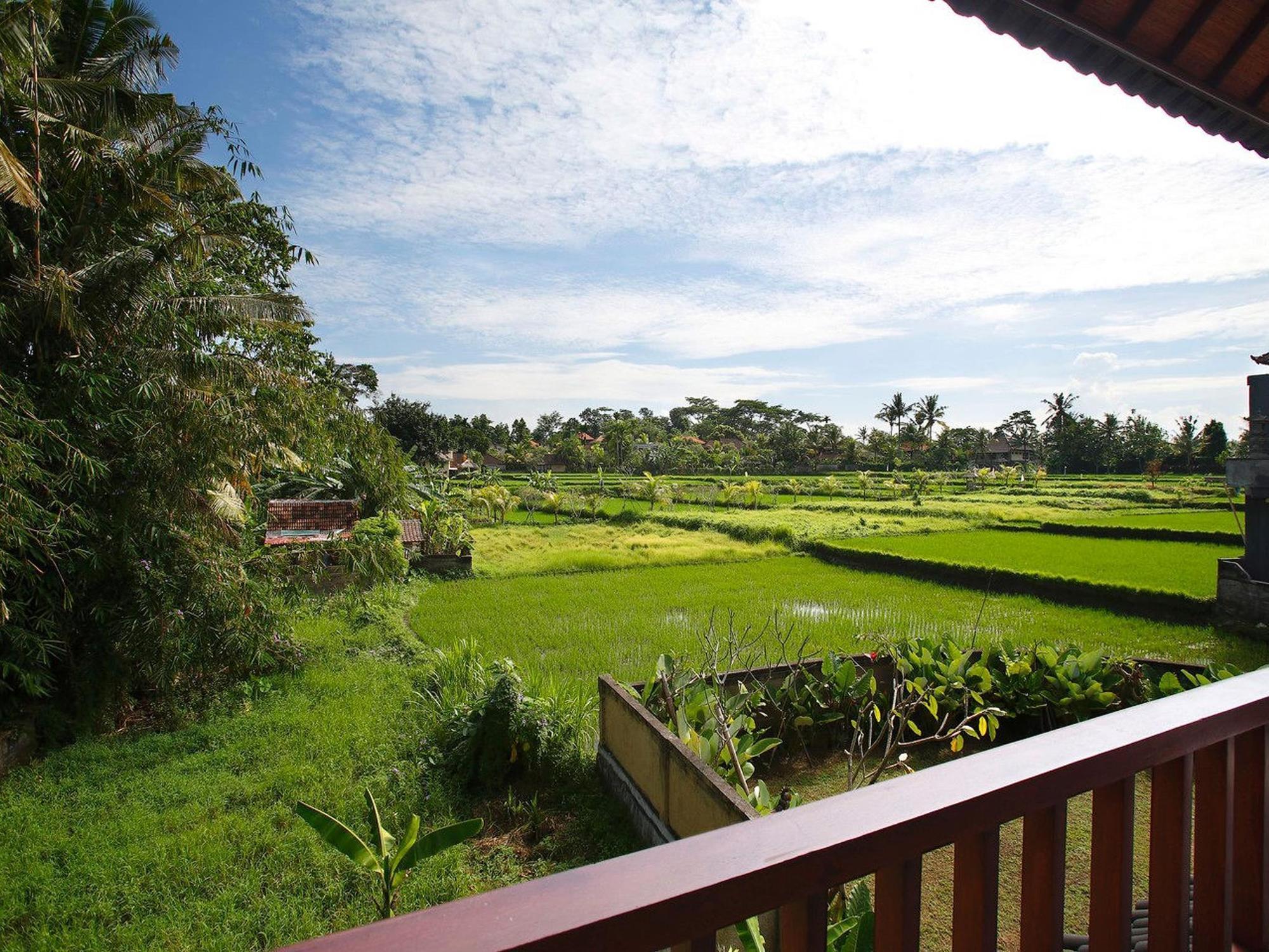 Create Luv Play Apartment Ubud (Bali)