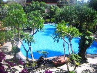 Garden &