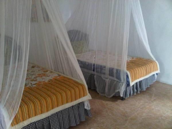 Taman Ayu Mitra Reddoorz * Munduk (Bali)