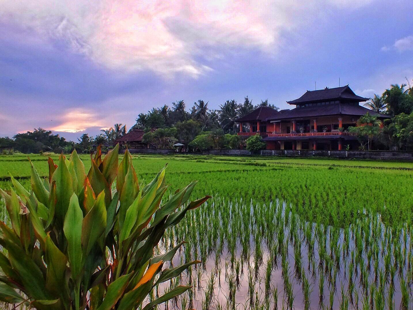 Mandala Desa 4* Sukawati (Bali)