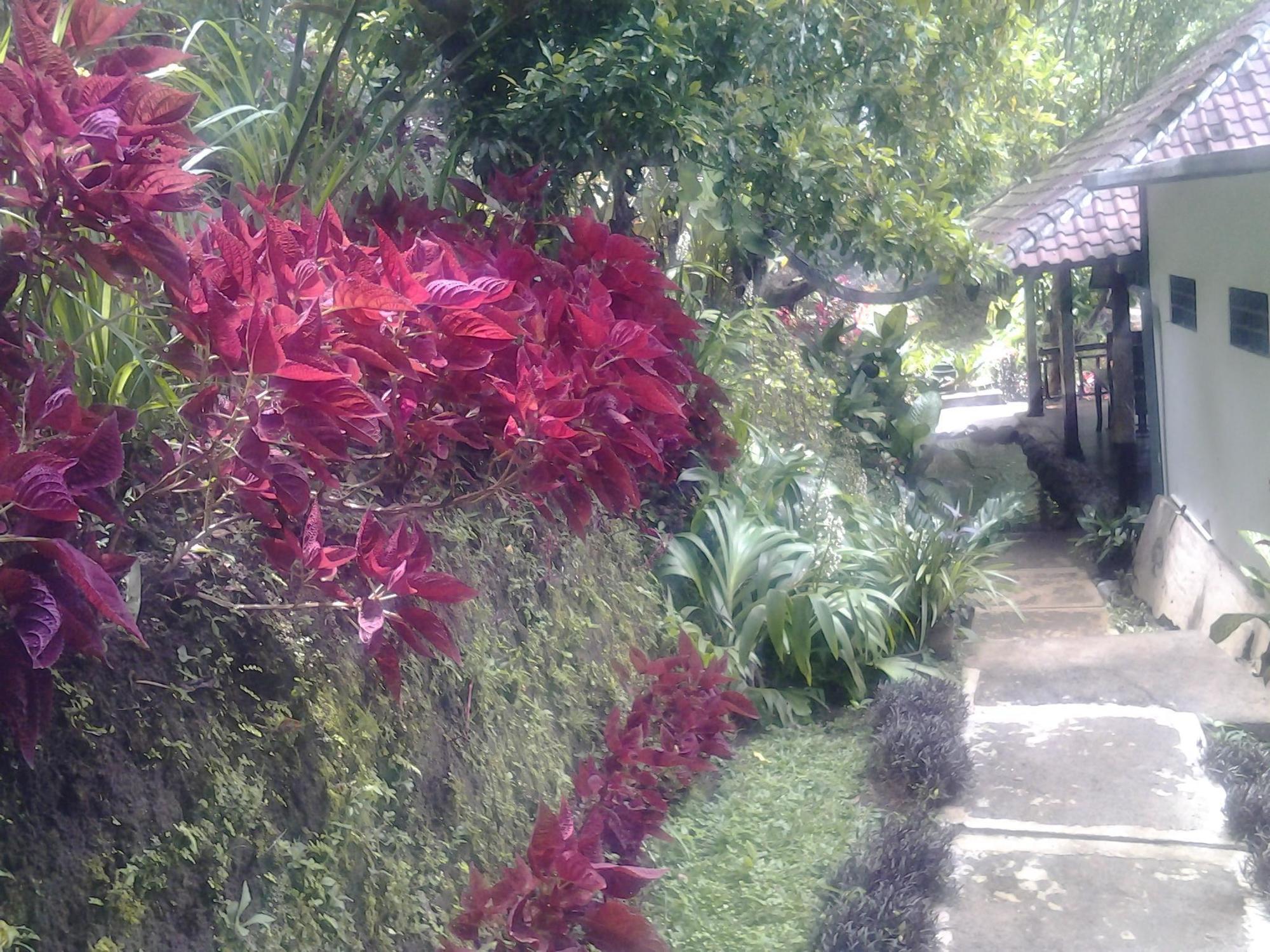 Bali Rahayu Homestay *