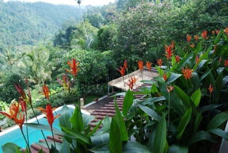 Hotel Hideaway Ubud