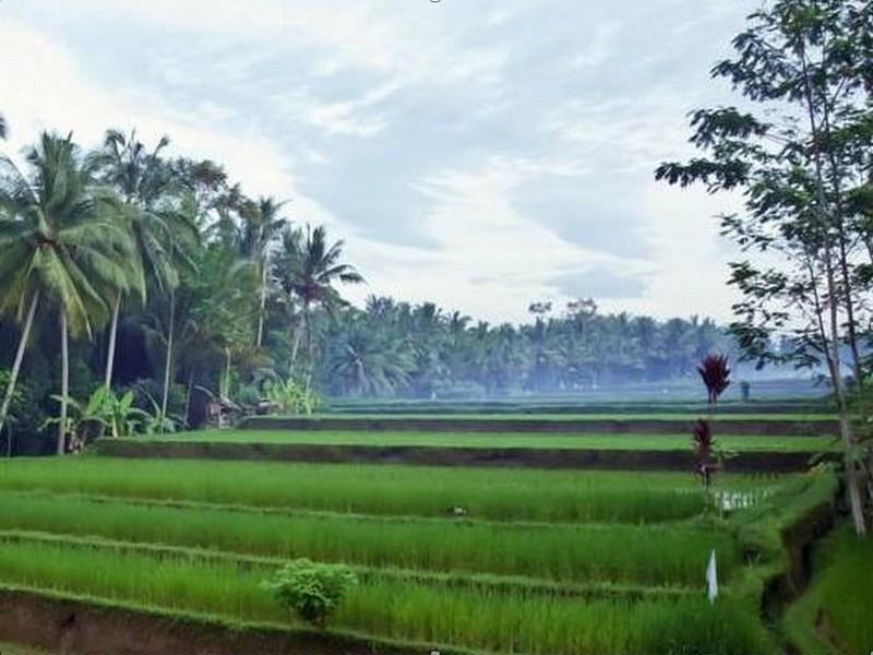 Uma Kama * Ubud (Bali)