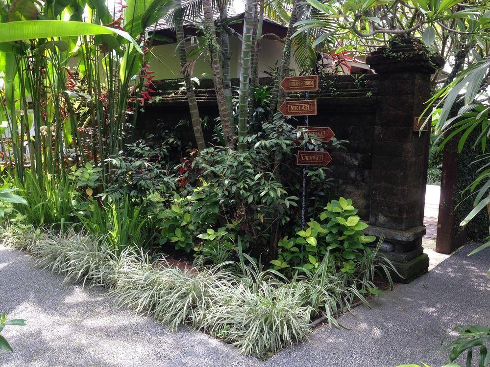 Anginsepoi Holiday park Canggu (Bali)