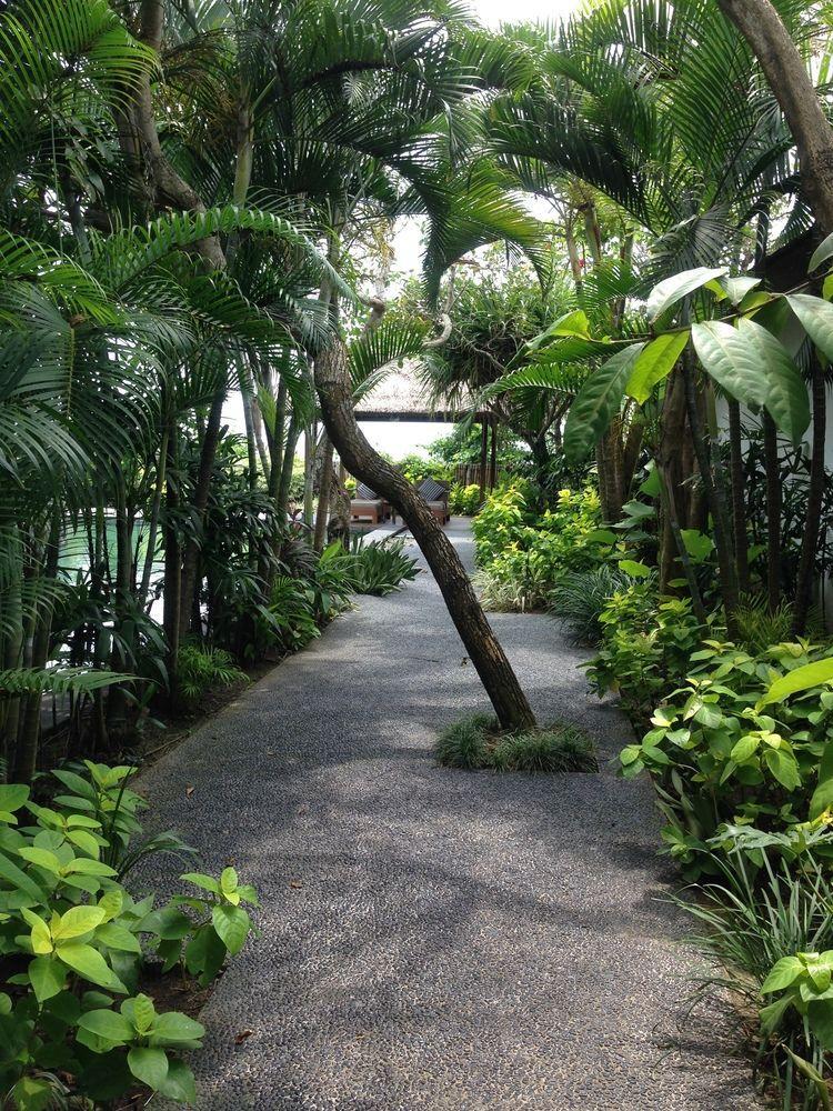 Anginsepoi 3* Canggu (Bali)
