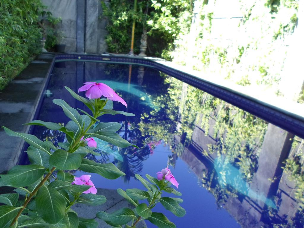 Guest house Bali Aman Darling House 3*