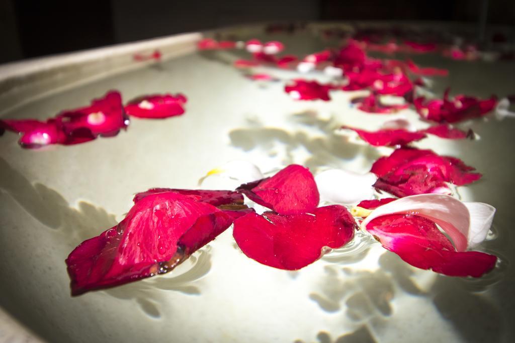Villa Junjungan Serenity & Ubud (Bali)