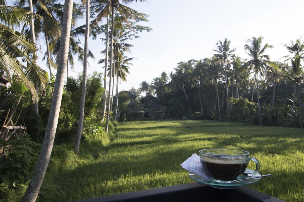 Villa Junjungan Serenity &