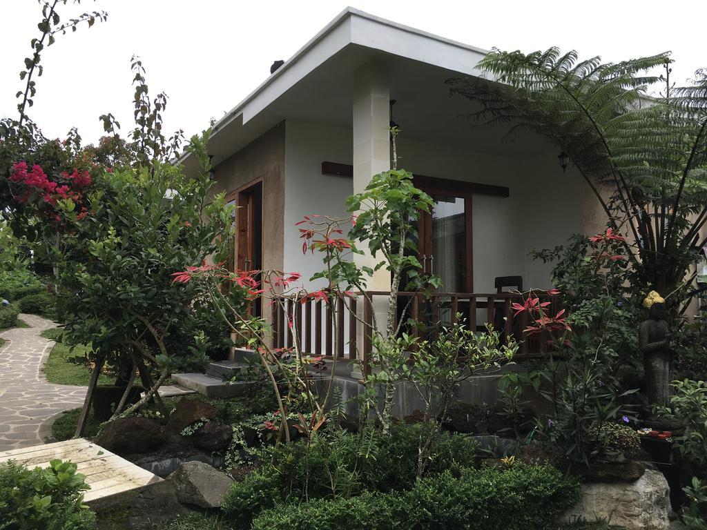 Guest house Terrasse Du Munduk (Bali)