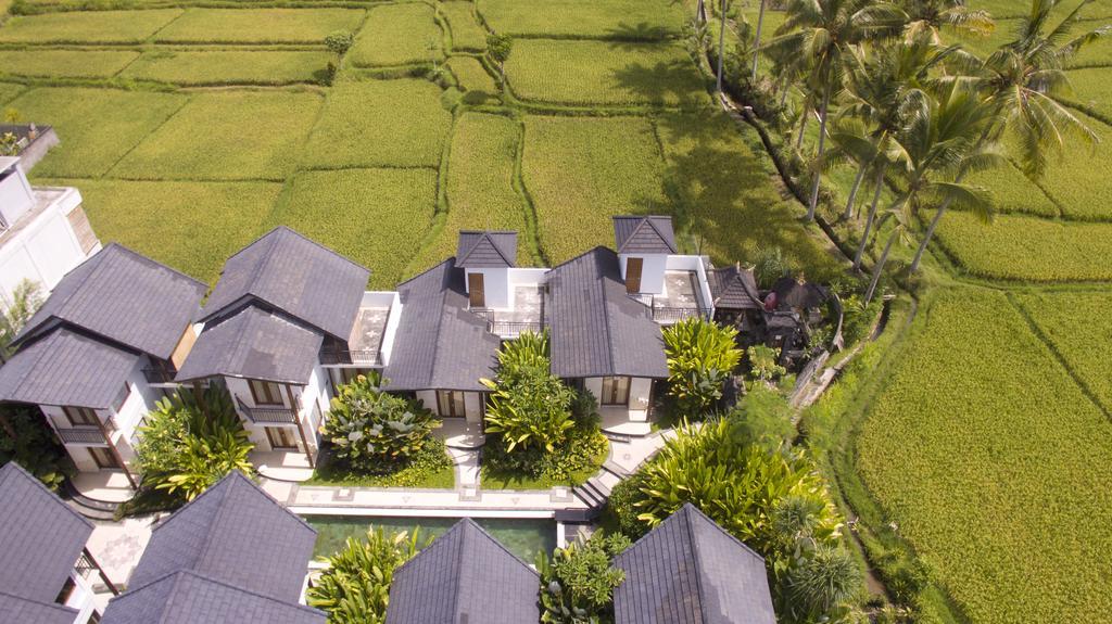 Bakung And Ubud (Bali)