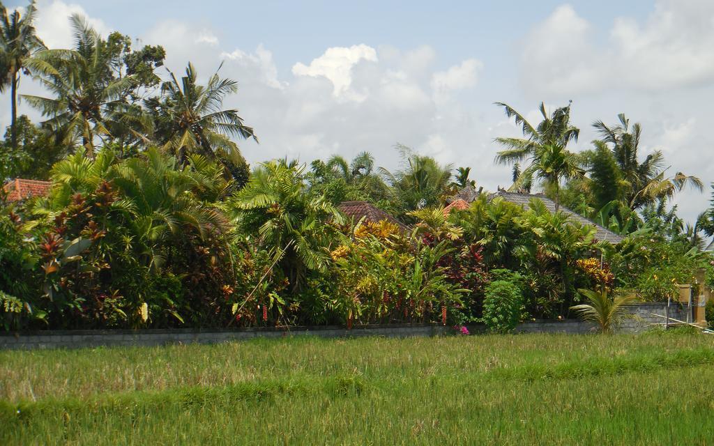 Esa Ubud (Bali)