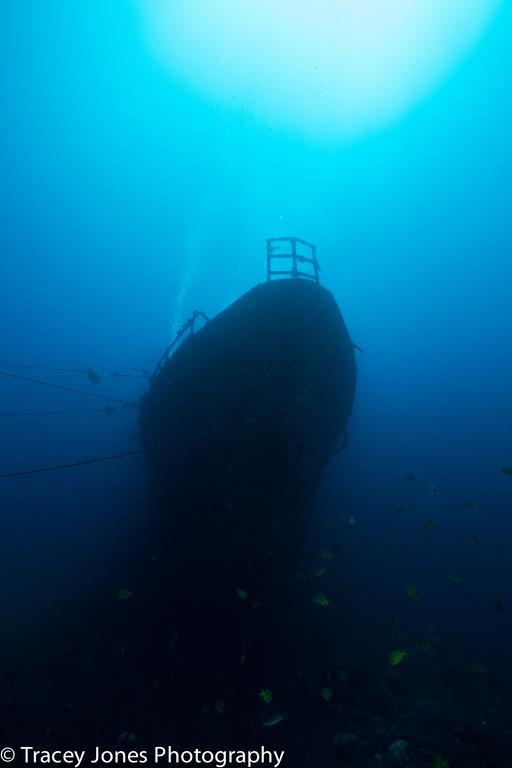 Puri Wirata Dive And Amed (Bali)
