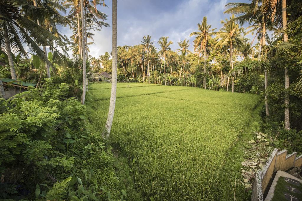 Junjungan Serenity & Ubud (Bali)