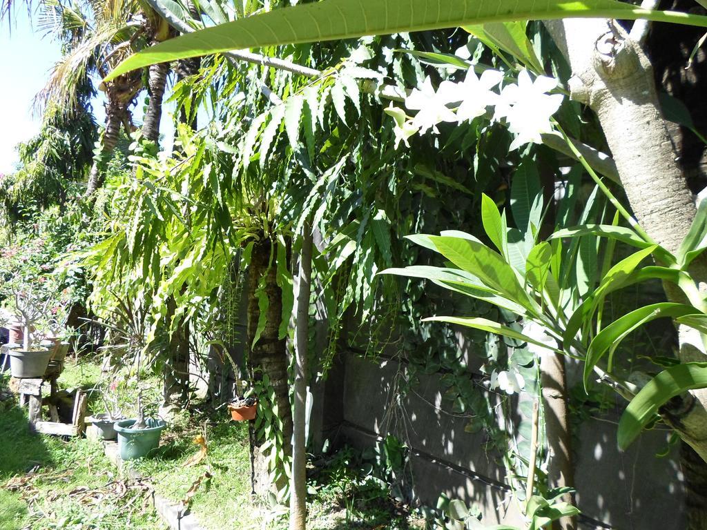 Bali Aman Darling House