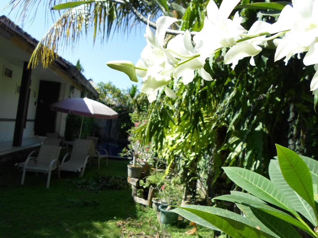 Guest house Bali Aman Darling House Canggu (Bali)