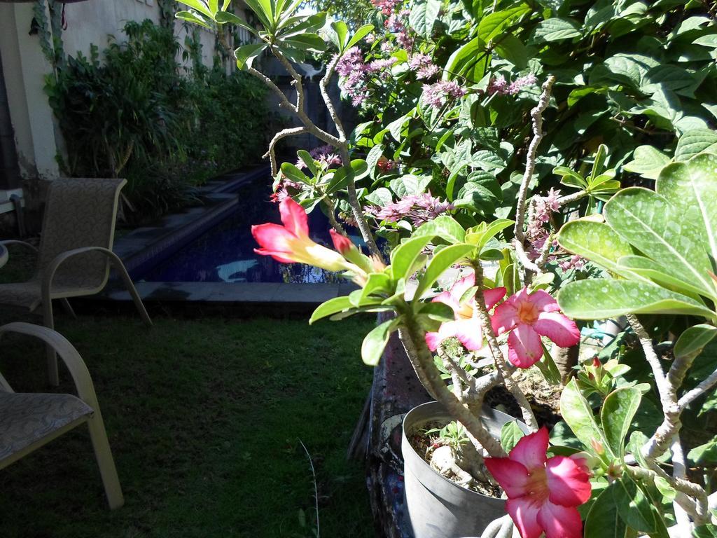 Bali Aman Darling House