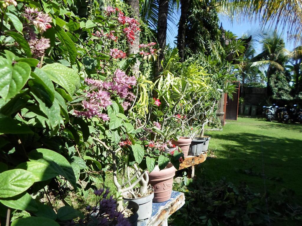 Bali Aman Darling House Canggu (Bali)