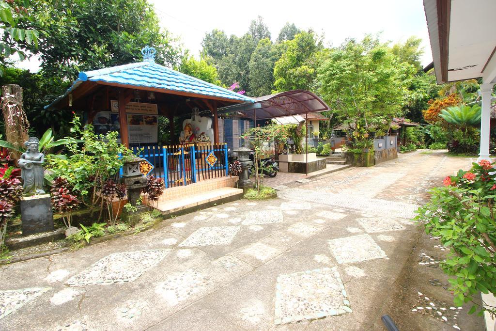 Guest house Made Homestay Munduk Munduk (Bali)