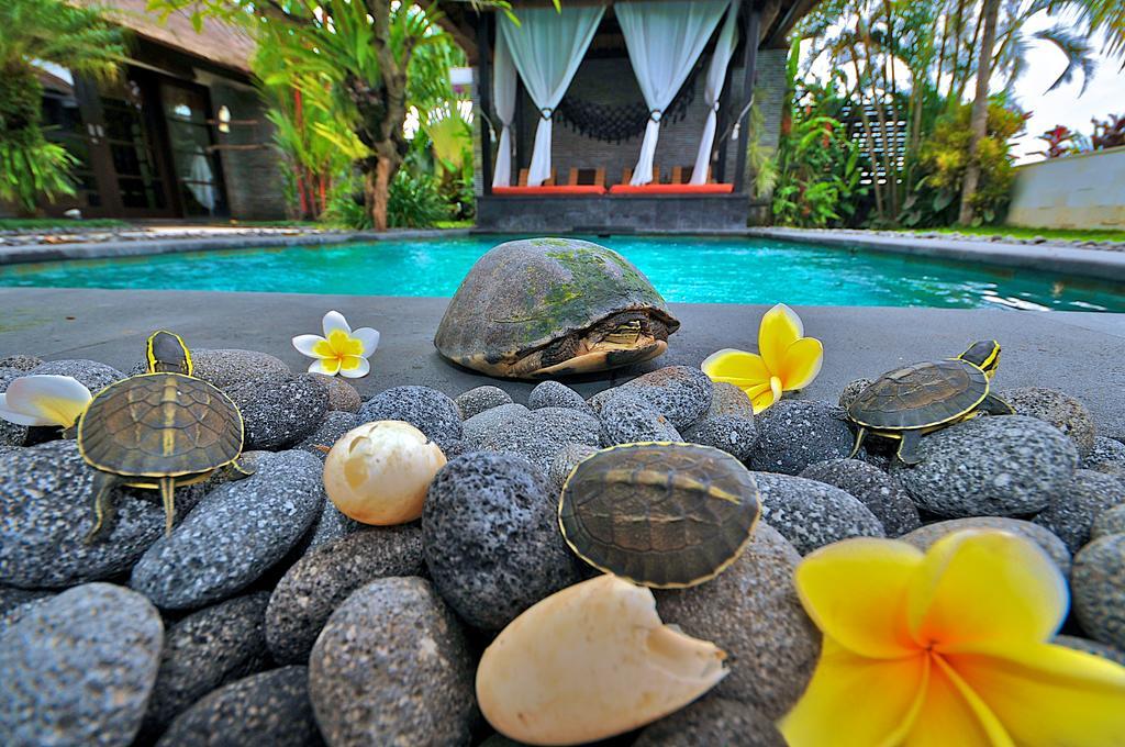 The Zala Villa Canggu (Bali)