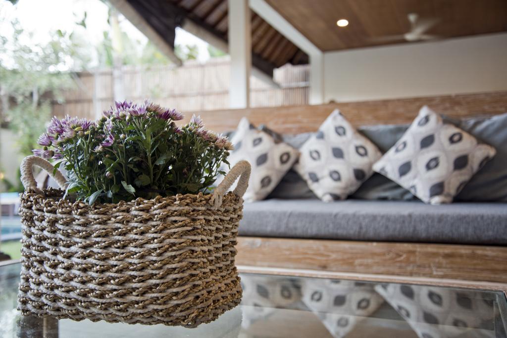 Star Villa *
