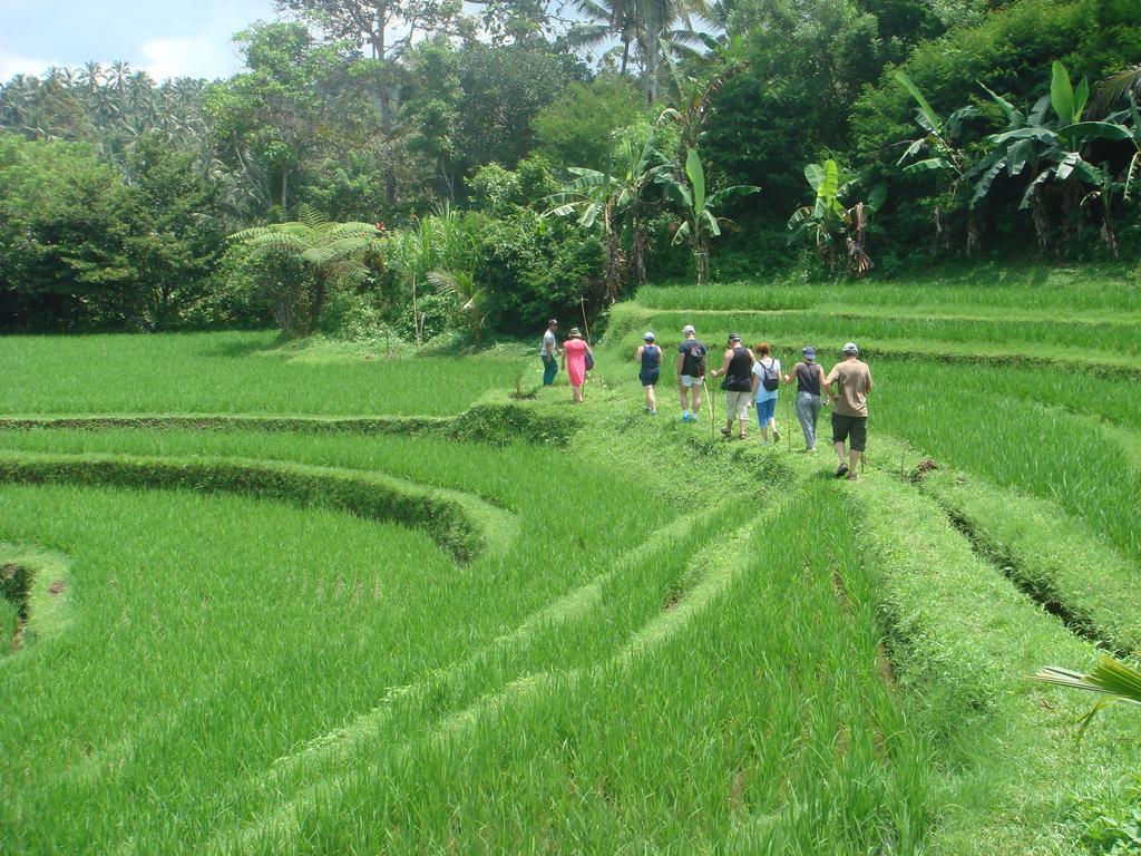 Cempaka Belimbing 4* Blimbing (Bali)