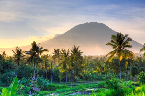 Barn N Bunk Guest house Gianyar (Bali)