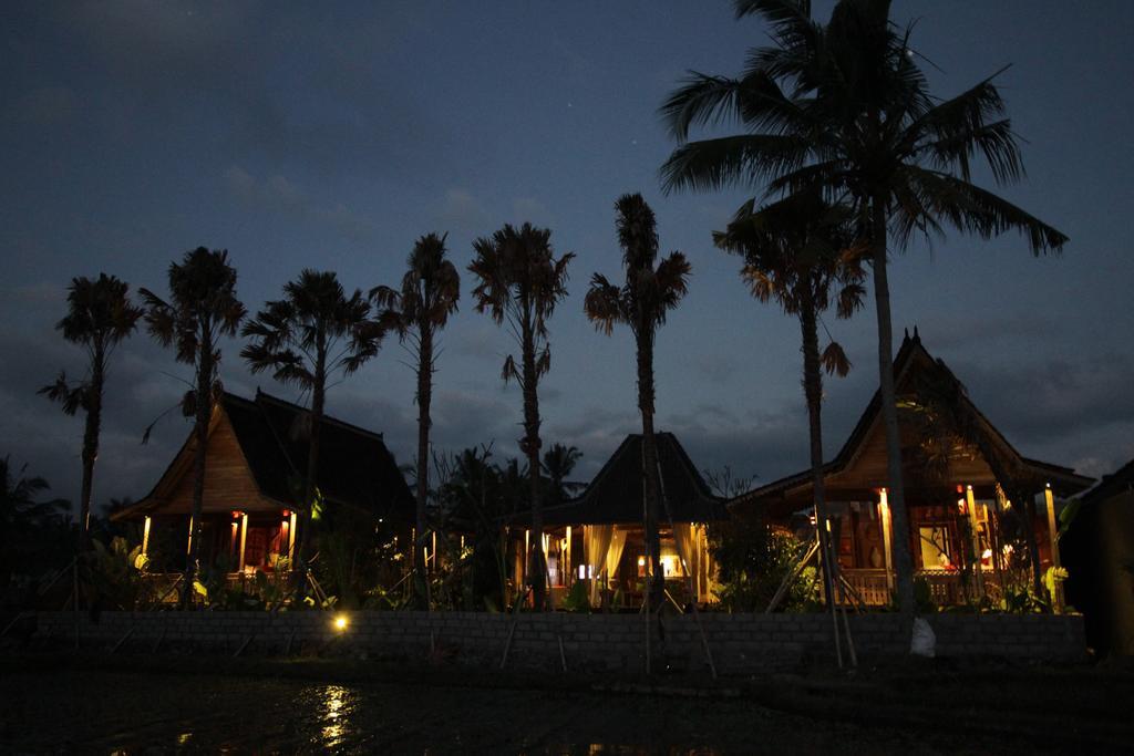 Virgin Villa *