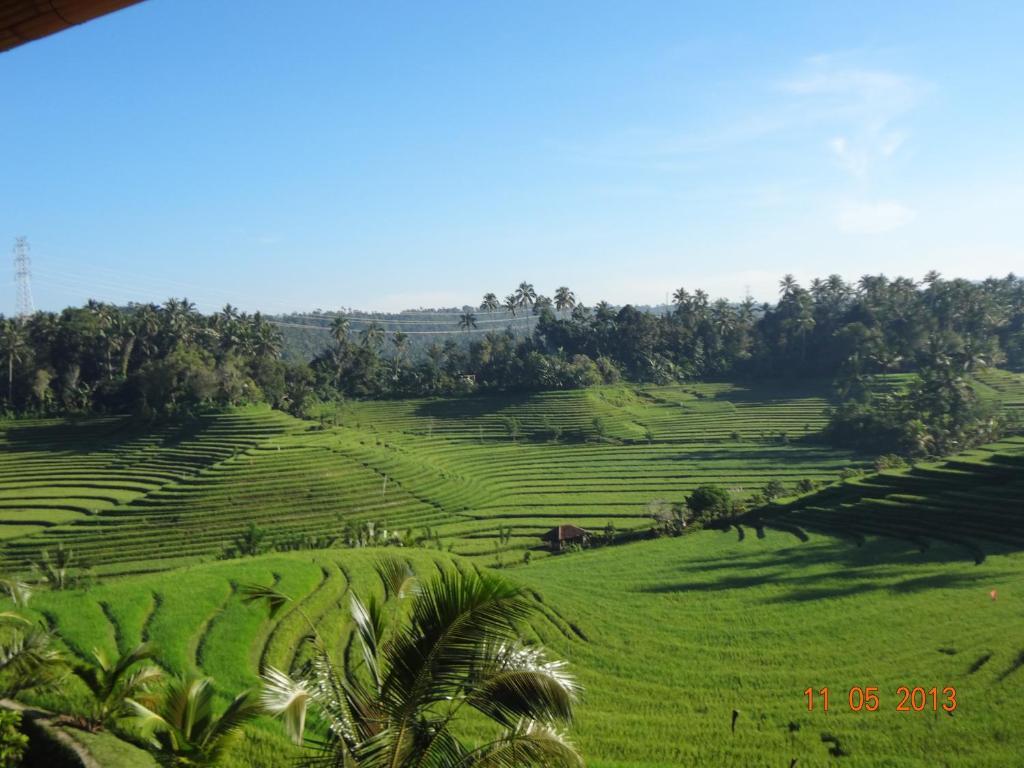 Cempaka Belimbing