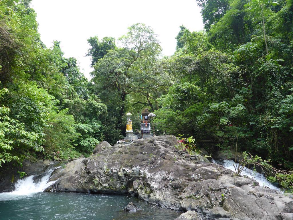 Gunung Paradis Retreat * Munduk (Bali)