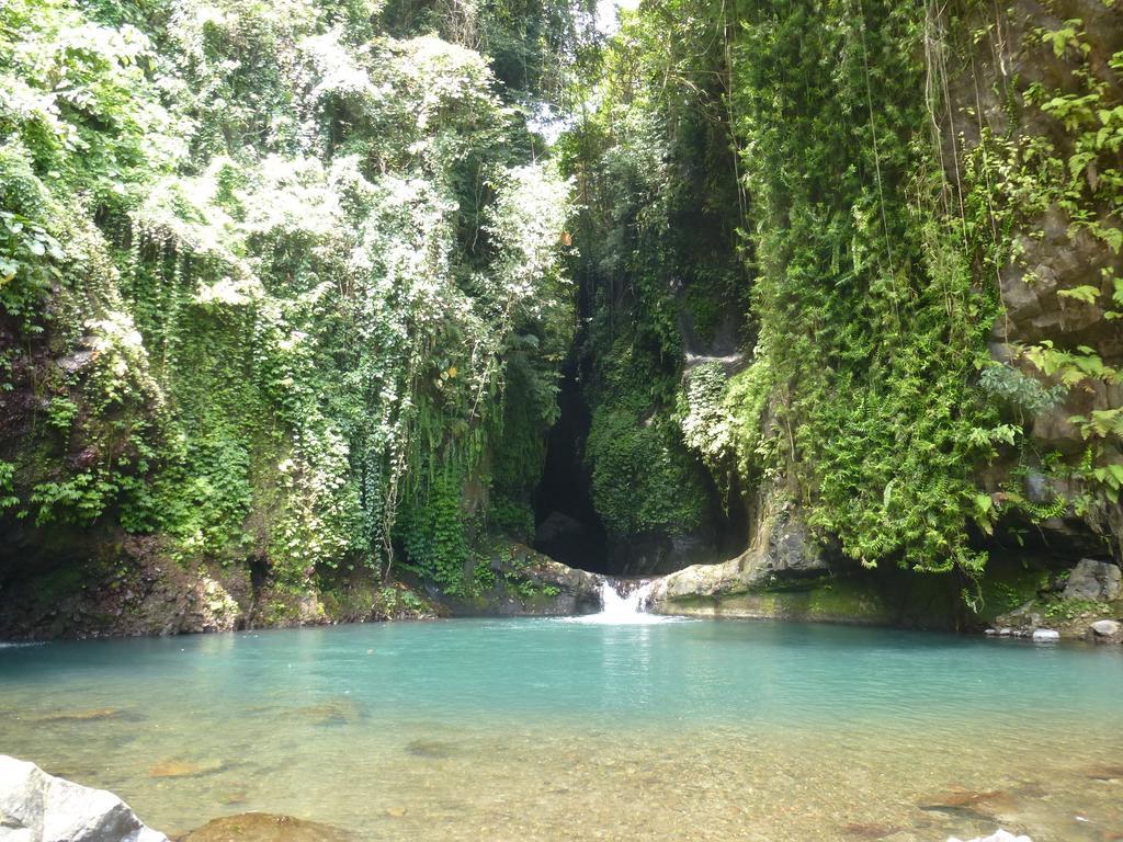 Gunung Paradis Retreat * Munduk (Bali)