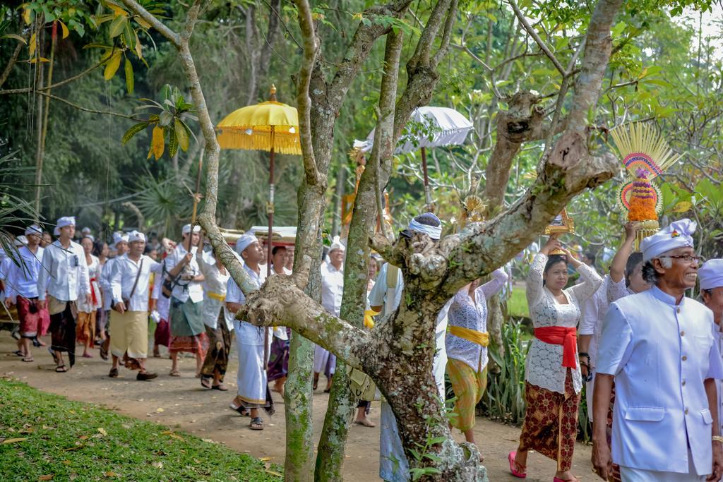 Guest house Griya Sriwedari Ubud (Bali)