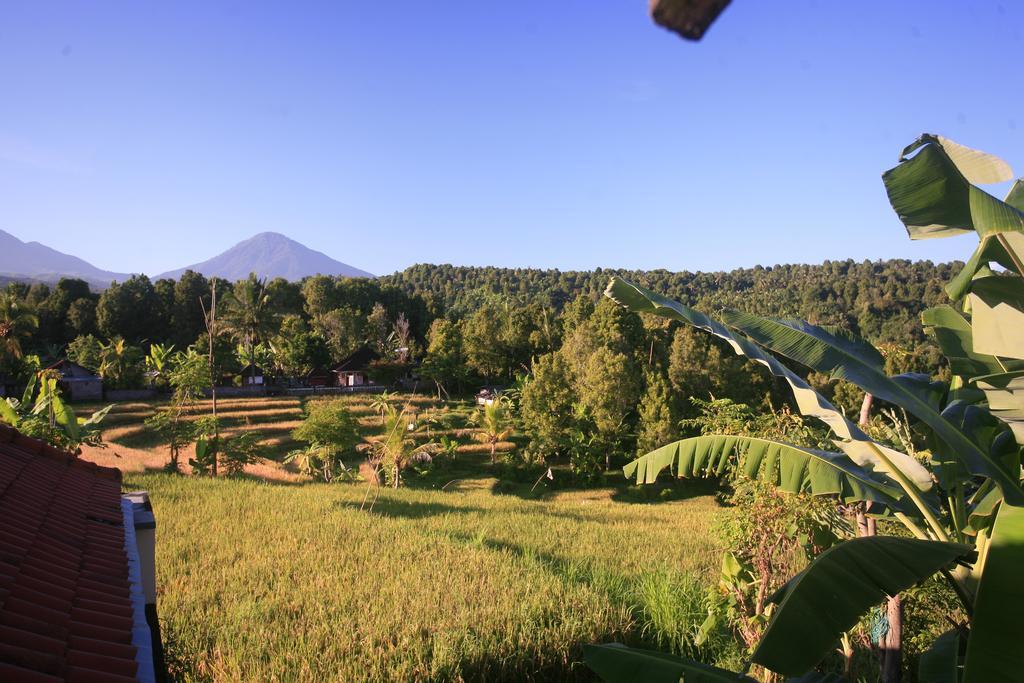 Homestay Yoga