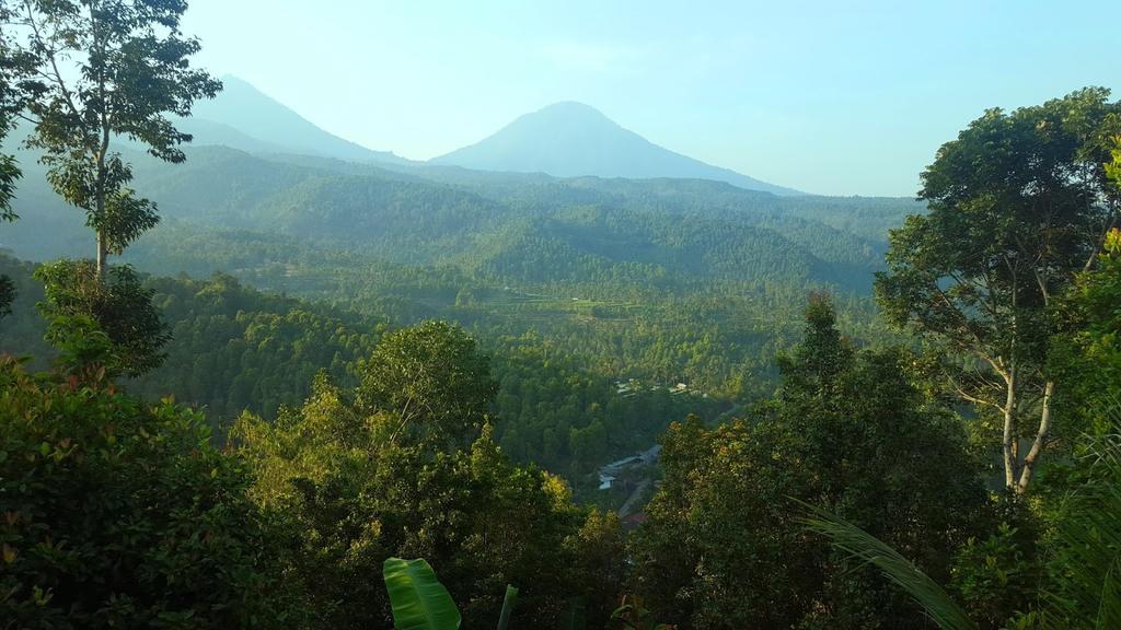 Yoga Homestay