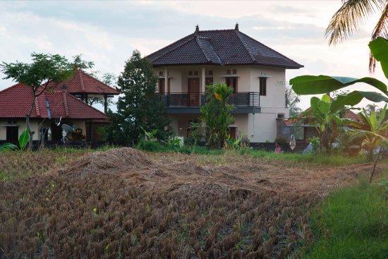 Homestay Yoga *