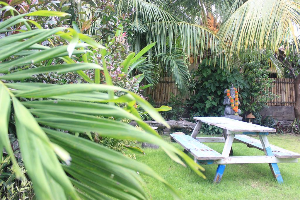 Guest house Toke Menjangan