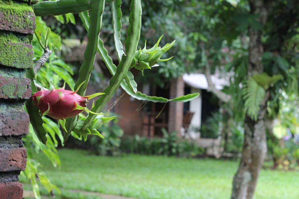 Homestay Timbis Bali Nusa Dua (Bali)