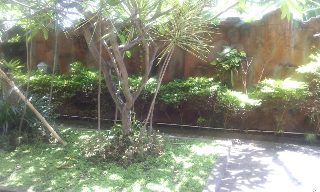 Taxa 2* Kuta (Bali)