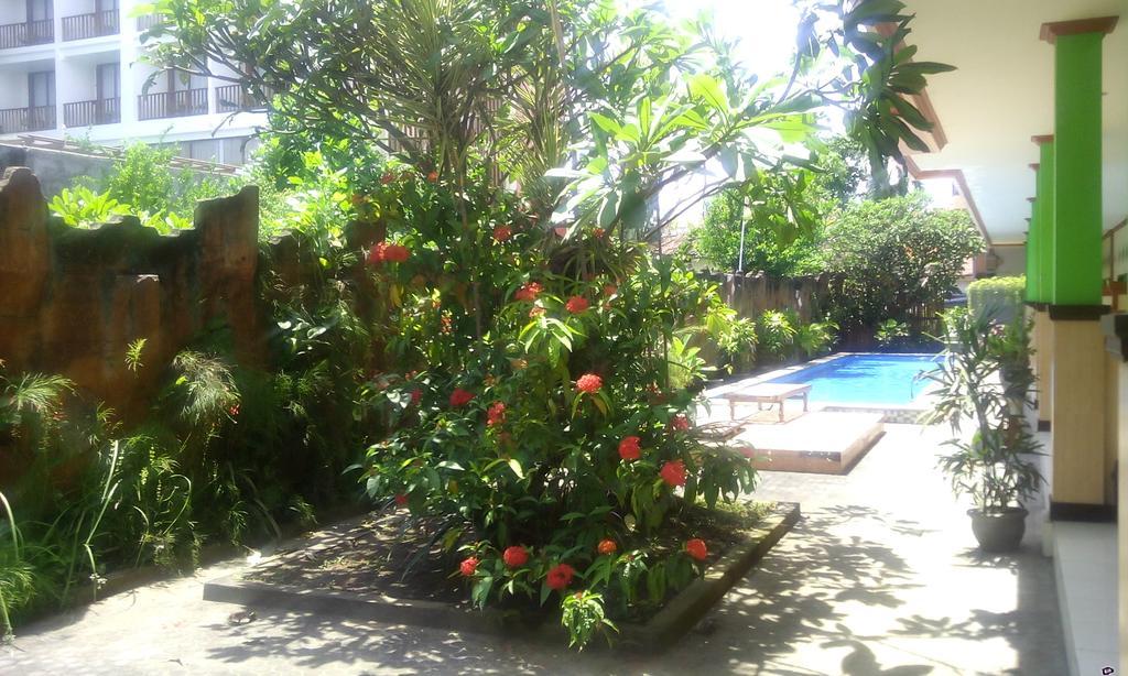 Taxa Kuta (Bali)