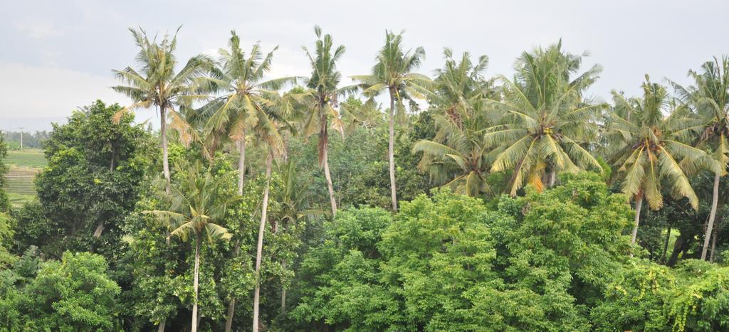 Kubudiuma Bali