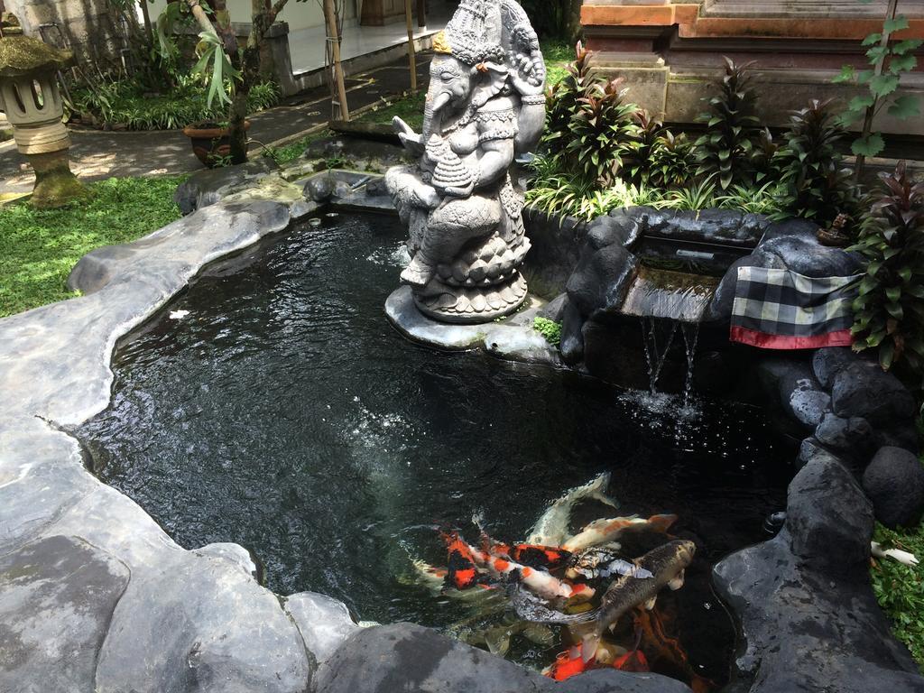 Arsa & * Ubud (Bali)