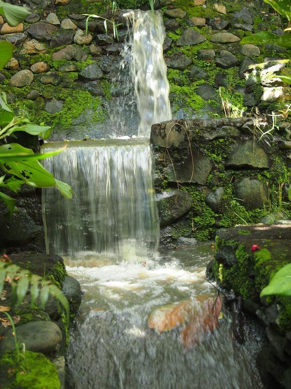 West Bali Villas-umasari Guest house 3*