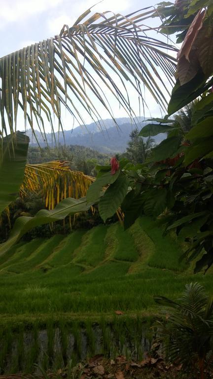 West Bali Villas-umasari Guest house