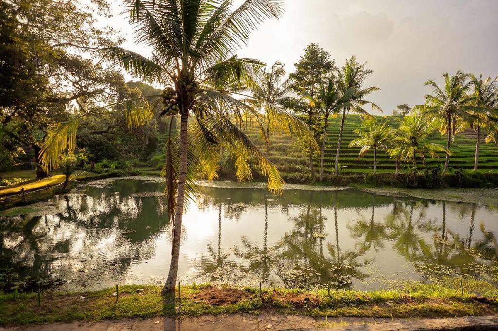 Alam Taman