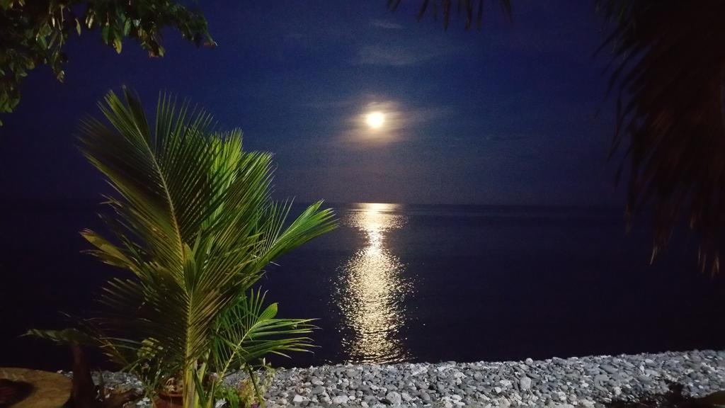 Nalini 4* Amed (Bali)