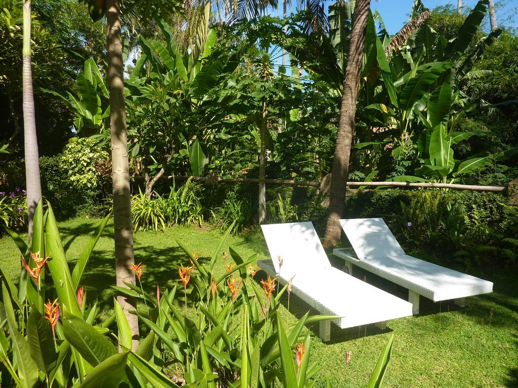 Guest house Saraswati House Lovina (Bali)