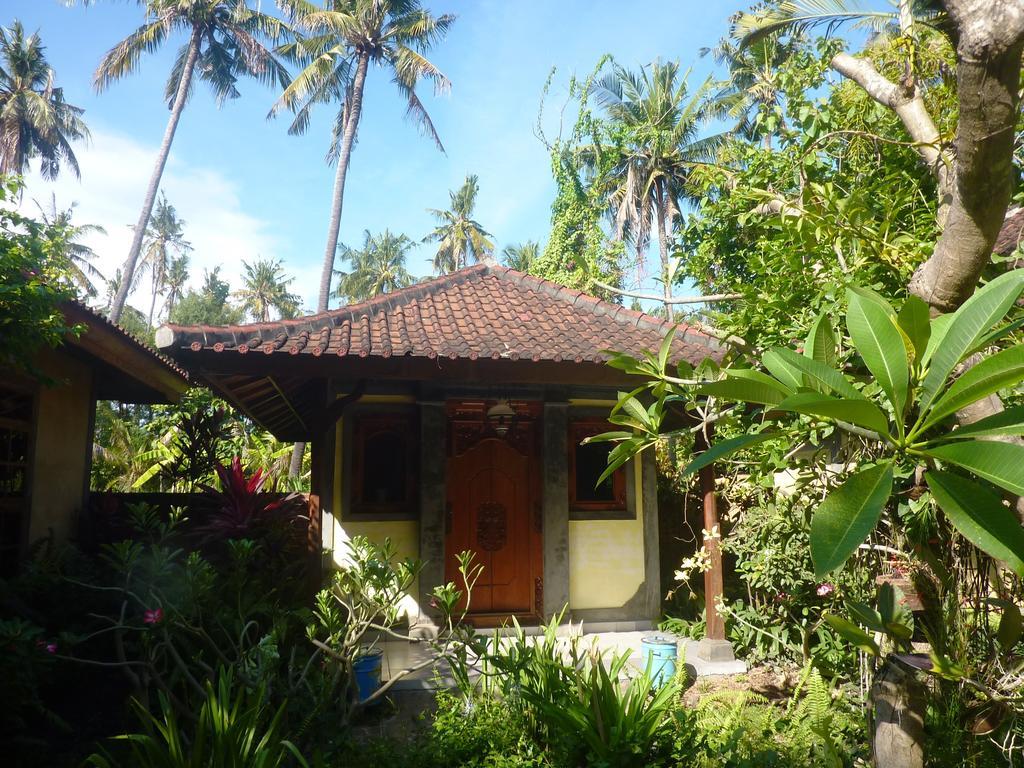 Guest house Saraswati House Lovina (Bali)