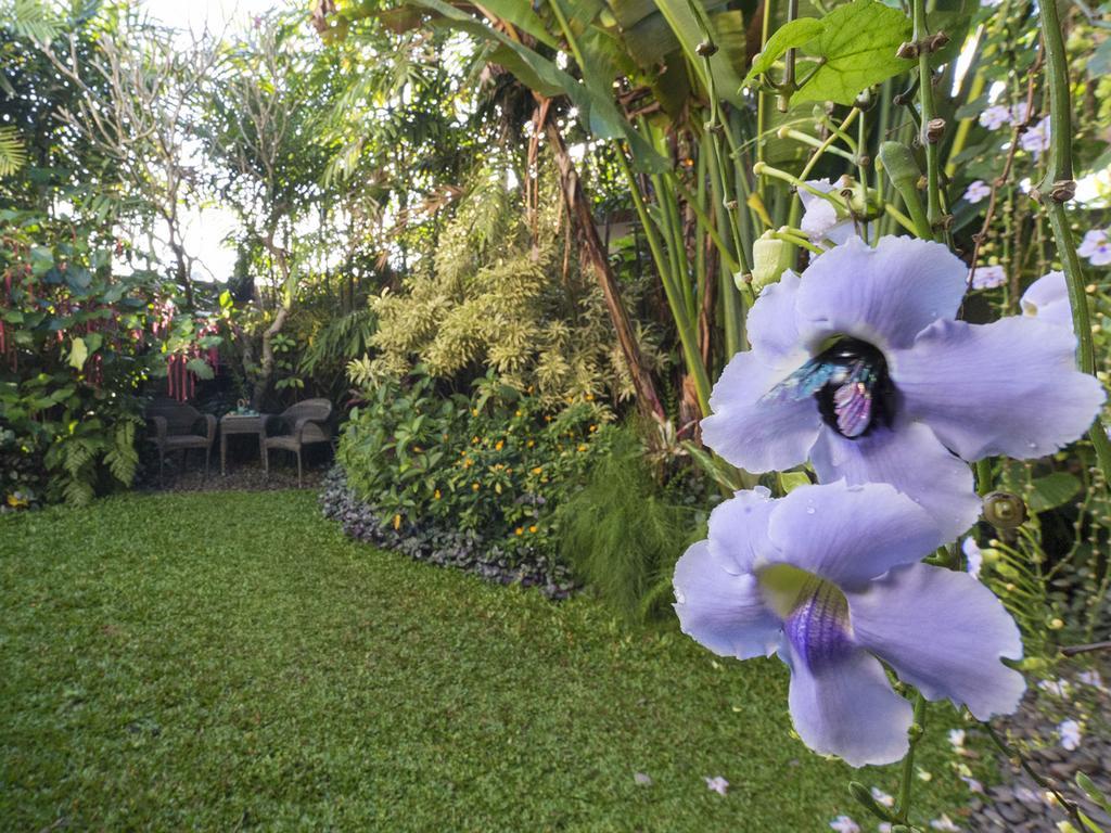 Shinta Dewi Villa